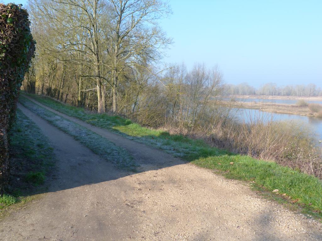 Les Gites De Colliers Muides-sur-Loire Δωμάτιο φωτογραφία